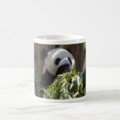 Riesiger Panda-Tasse Kaffeetasse (Mittel)