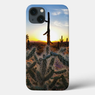Riesiger Saguaro-Kaktus bei Sonnenuntergang in der Case-Mate iPhone Hülle