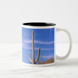 Riesiger Saguaro-Kaktus mit mehreren Armen, Saguar Zweifarbige Tasse