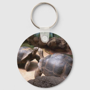 Riesiger Schildkröte-Kuss Schlüsselanhänger