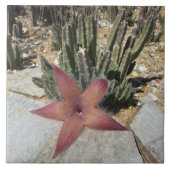 Riesiger Starfish-Kaktus Fliese (Vorderseite)