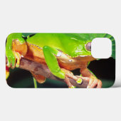 Riesiger zweifarbiger Affe Treefrog, Phyllomedusa Case-Mate iPhone Hülle (Rückseite (Horizontal))