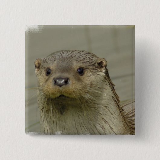 Riesiges Fluss-Otter-Button Button (Vorderseite)