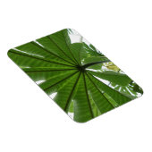 Riesiges Green Leaf 3"x4 Magnet (Rechte Seite)