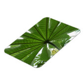 Riesiges Green Leaf 3"x4 Magnet (Linke Seite)