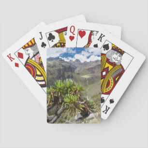 Riesiges Groundsel oder Dendrosenecio Spielkarten