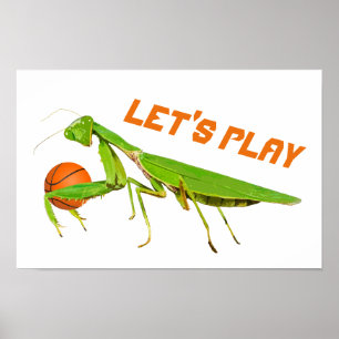 Riesiges grünes betender Mantis-Basketball-Plakat Poster
