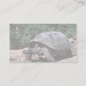 Riesiges kuppelförmiges Schildkröten-Gehen Visitenkarte (Rückseite)