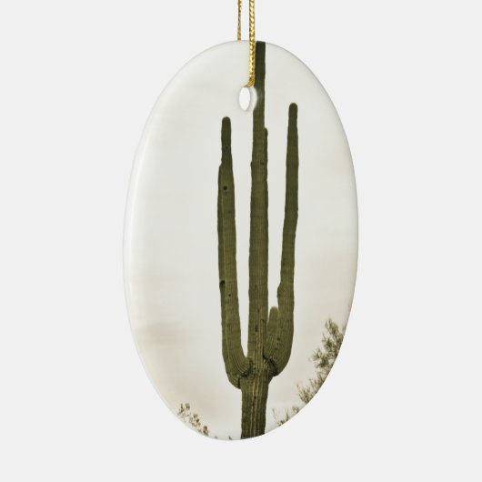Riesiges Saguaro Sonoran Wüsten-Porträt Keramik Ornament (Rechts)