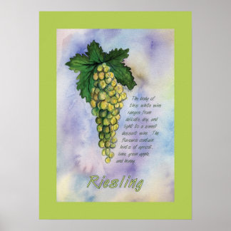 Riesling Weintrauben Poster