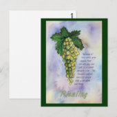 Riesling White Weintrauben Postkarte (Vorne/Hinten)