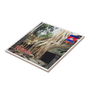 Rif. KH Kambodscha, Ta Prohm Fliese