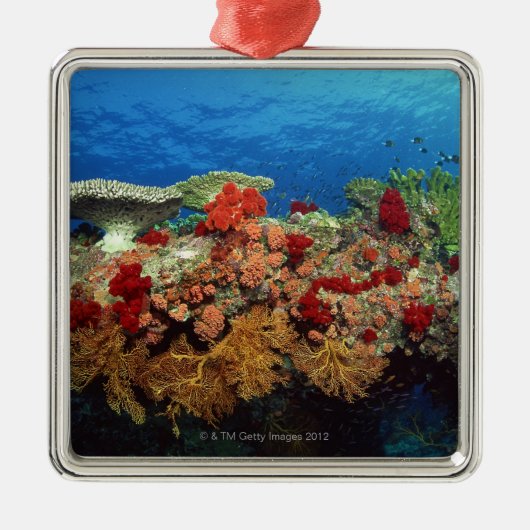 Riff der Korallen Silbernes Ornament (Vorne)