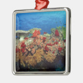 Riff der Korallen Silbernes Ornament (Links)