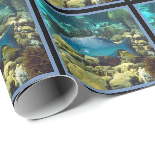 Riff-Fische Geschenkpapier (Rolleneckpunkt)