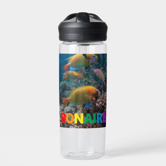 Riff-Fische in Bonaire Trinkflasche (Vorderseite)