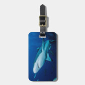 Riff-Haifisch-Gepäckanhänger Gepäckanhänger (Vorderseite vertikal)