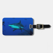Riff-Haifisch-Gepäckanhänger Gepäckanhänger (Vorderseite horizontal)