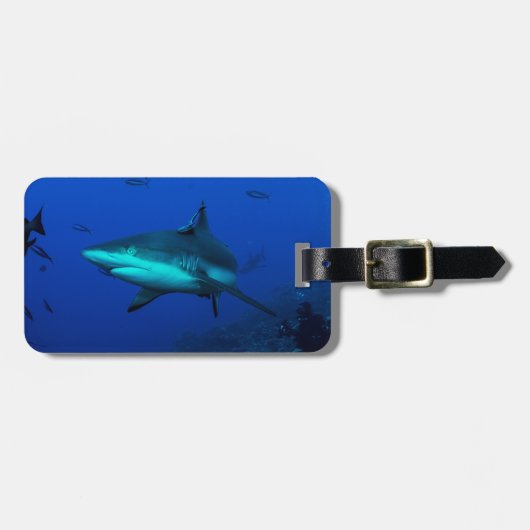 Riff-Haifisch-Gepäckanhänger Gepäckanhänger (Vorderseite horizontal)