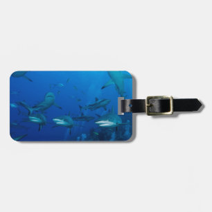 Riff-Haifisch-Great Barrier Reef Korallenmeer Gepäckanhänger