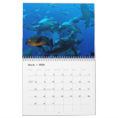 Riff-Haifisch-Great Barrier Reef Korallenmeer Kalender (Mär 2026)