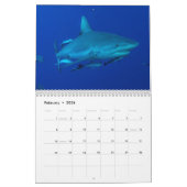 Riff-Haifisch-Great Barrier Reef Korallenmeer Kalender (Feb 2026)