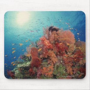 Riff landschaftlich von den harten Korallen, Mousepad