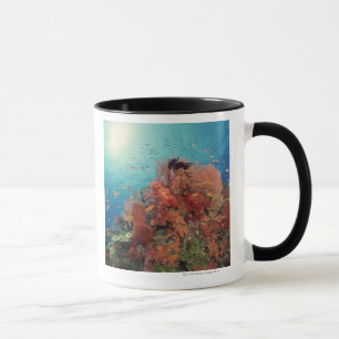 Riff landschaftlich von den harten Korallen, Tasse