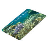 Riff quensland magnet (Linke Seite)