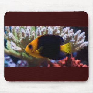 Riff-Ruhe Mousepad