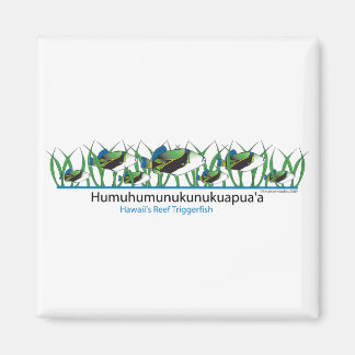 Riffe- Magnet