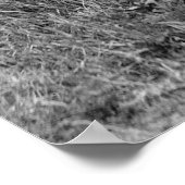 Riffelbereich: 1917 poster (Ecke)