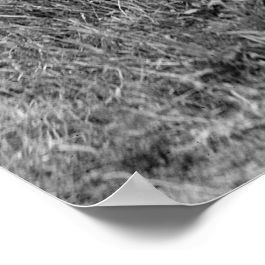 Riffelbereich: 1917 poster (Ecke)