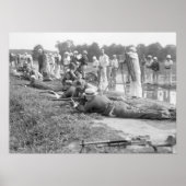 Riffelbereich: 1917 poster (Vorne)