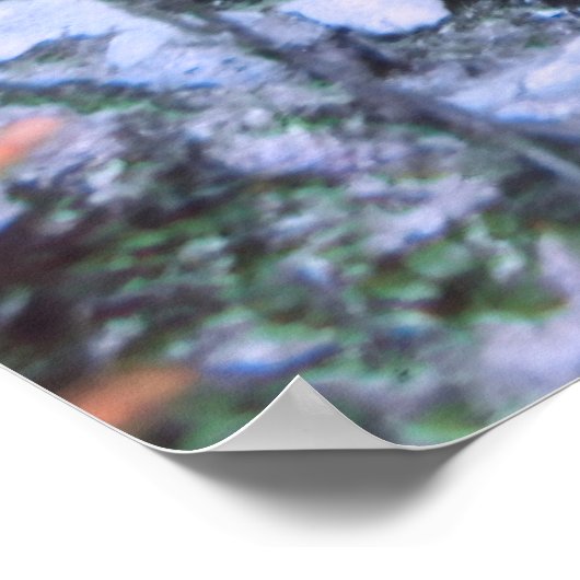 Rifffahrt Poster (Ecke)