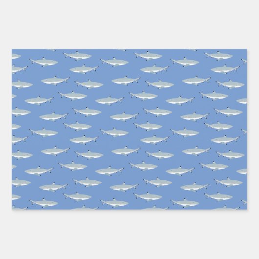 Riffhai Geschenkpapier Set (Vorderseite 2)