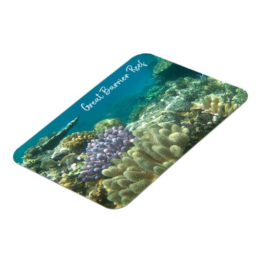 Riffkorallenriff Magnet (Linke Seite)