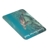 Riffschildkröte Magnet (Rechte Seite)