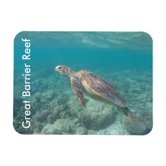 Riffschildkröte Magnet (Horizontal)
