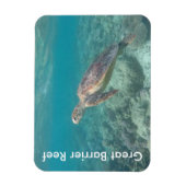 Riffschildkröte Magnet (Vertikal)