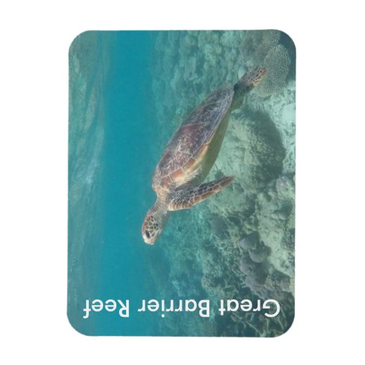 Riffschildkröte Magnet (Vertikal)