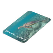 Riffschildkröte Magnet (Linke Seite)