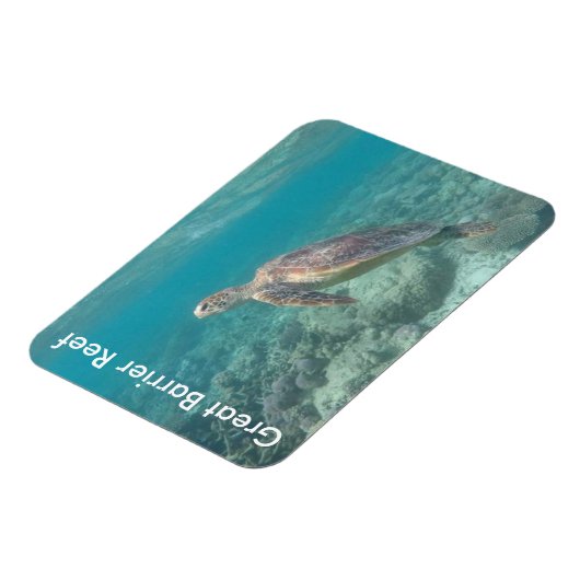 Riffschildkröte Magnet (Linke Seite)