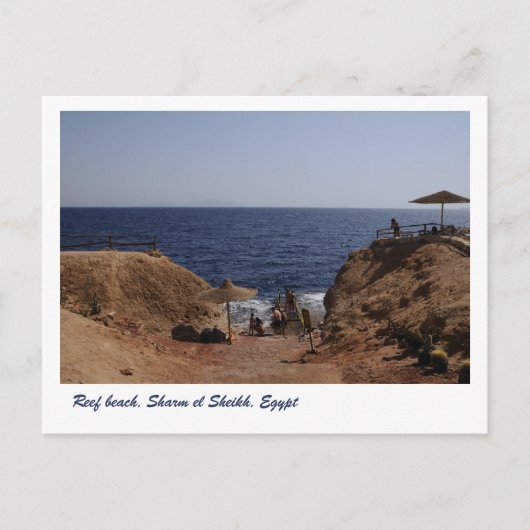 Riffstrand, Sharm el Sheikh, Ägypten Postkarte (Vorderseite)