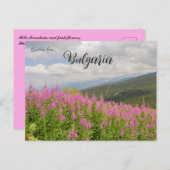 Rila Mountains and Pink Flowers in Bulgaria Postkarte (Vorne/Hinten)
