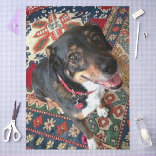 Riley 2 seidenpapier (Basteln)