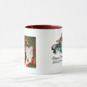 Riley - Border-Collie - Linda Tasse (Zentrum)