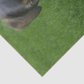 Riley Seidenpapier (Detail)