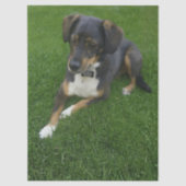 Riley Seidenpapier (Vorderseite)