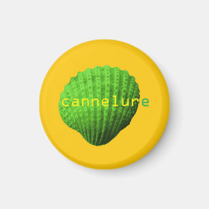 Rillenmuschel Magnet